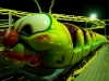 lunapark-madi (31)